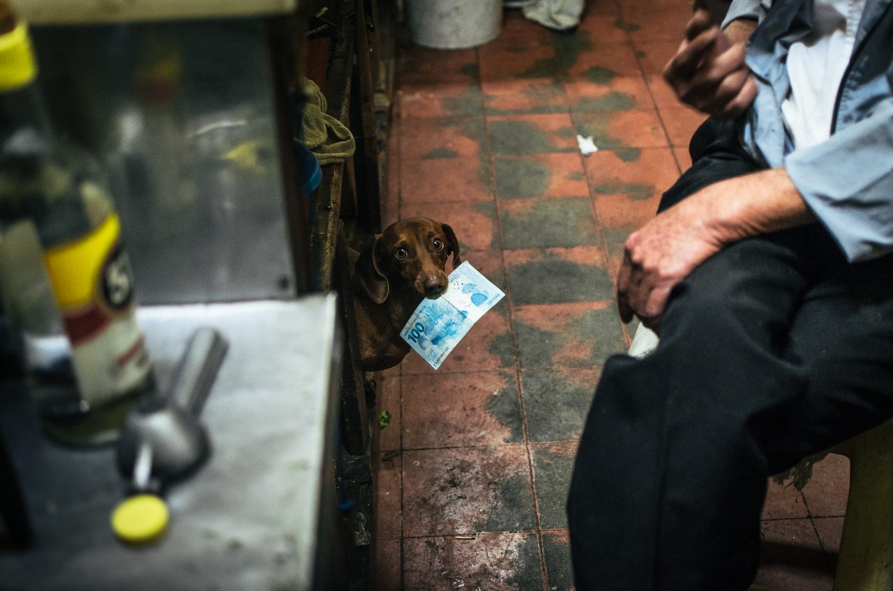 dog with money Raphael Valverde fotogenik collective street photography